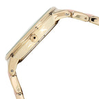 Anne Klein Quartz Analog Beige Dial Bimetal Strap Watch for Women