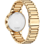 Quartz Chronograph AN8223-54X