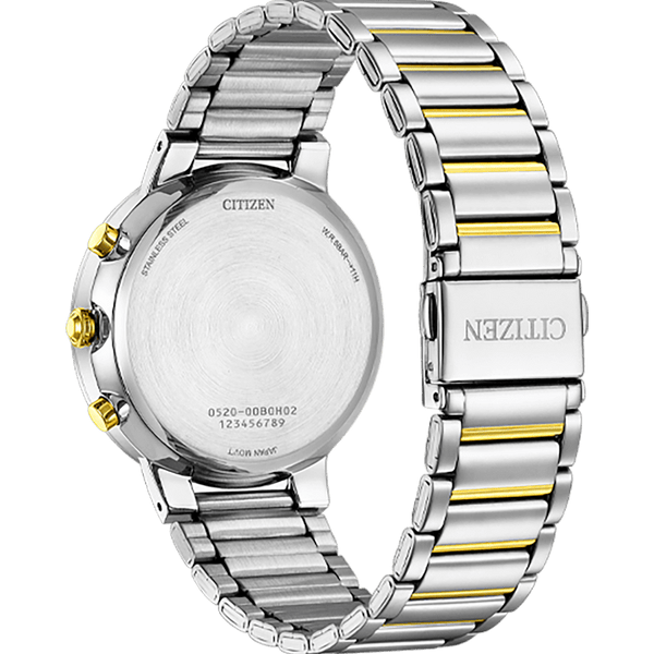 Quartz Chronograph AN8224-51L