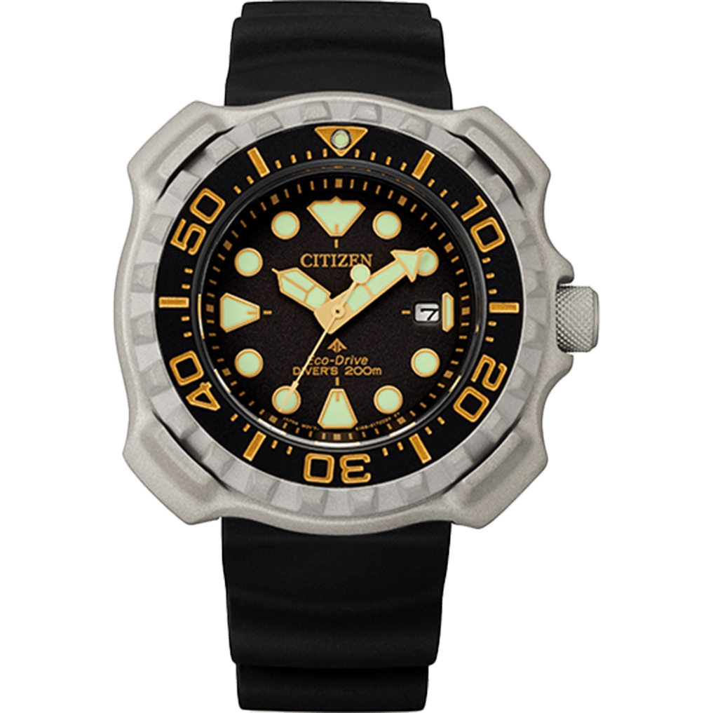 Promaster Professional Diver 200 BN0220-16E