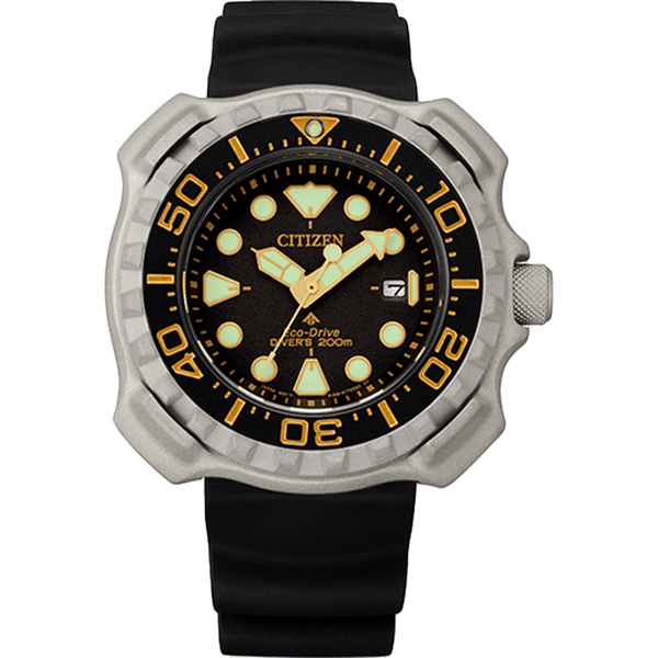 Promaster Professional Diver 200 BN0220-16E
