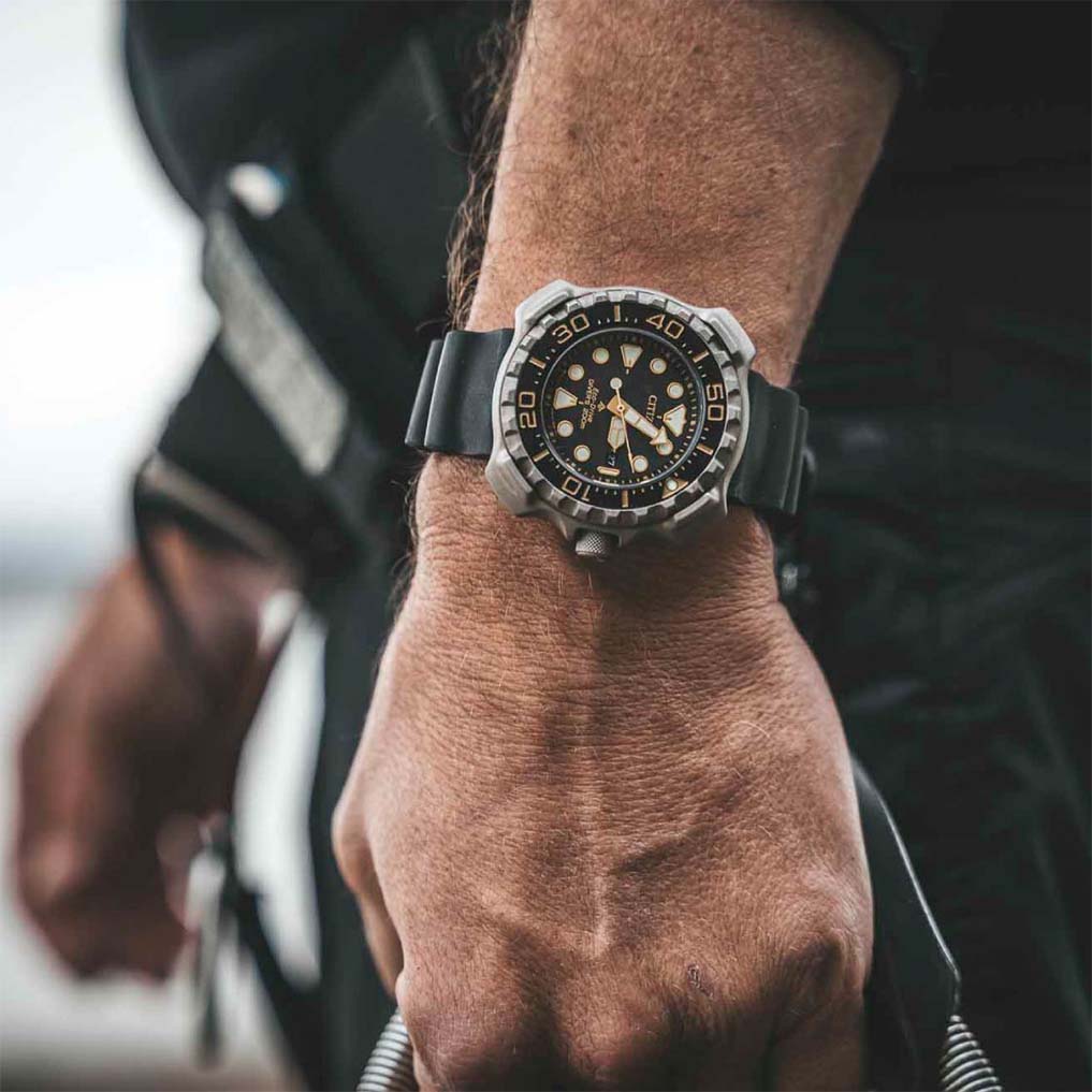 Promaster Professional Diver 200 BN0220-16E