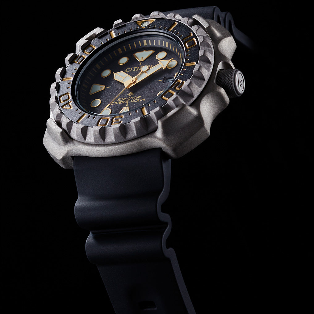 Promaster Professional Diver 200 BN0220-16E