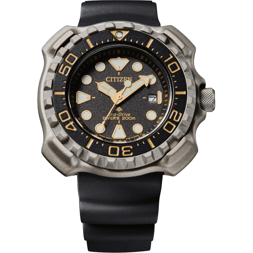 Promaster Professional Diver 200 BN0220-16E