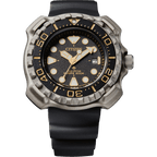 Promaster Professional Diver 200 BN0220-16E