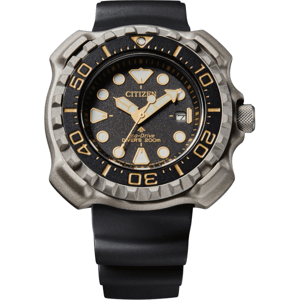 Promaster Professional Diver 200 BN0220-16E