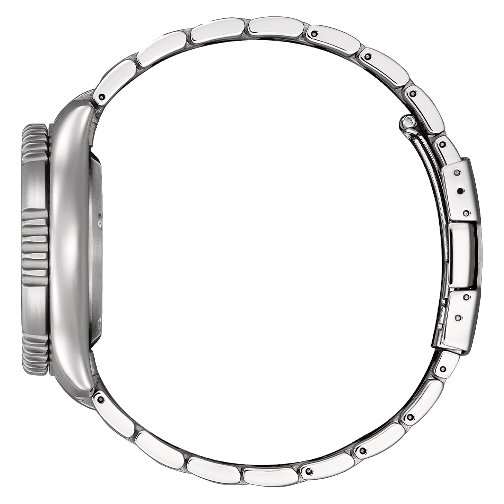 Fugu - Promaster Marine Limited edition NY0161-63L