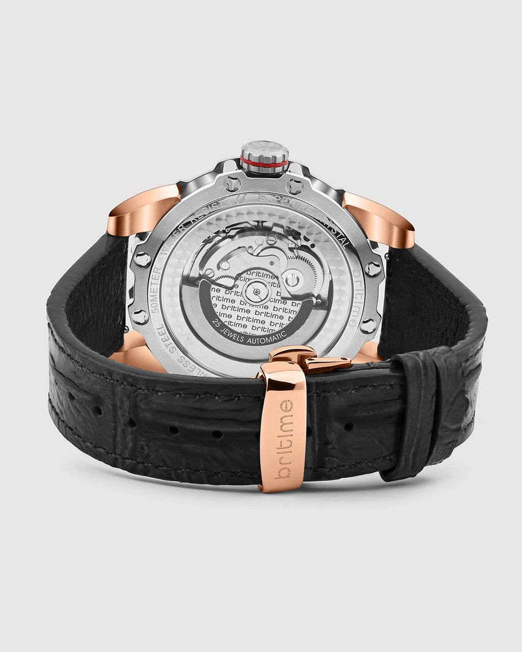 Era Silver With Brown